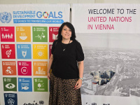 Декан ПФ Екатерина Анатольевна Похолкова посетила ООН в Вене 