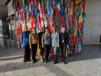 Слушатели Программы подготовки переводчиков к работе в международных организациях МГЛУ прошли стажировку в Вене