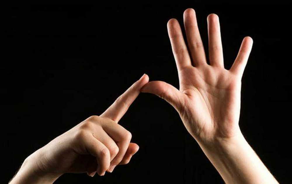 Основы русского жестового языка
