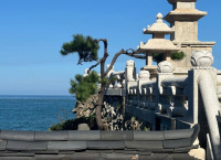 Студентка переводческого факультета Диянова Марина делится впечатлениями от стажировки в Корее!