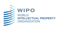 Сотрудничество МГЛУ и Всемирной организации интеллектуальной собственности
